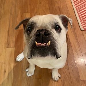 Meet your Posher, Joshua